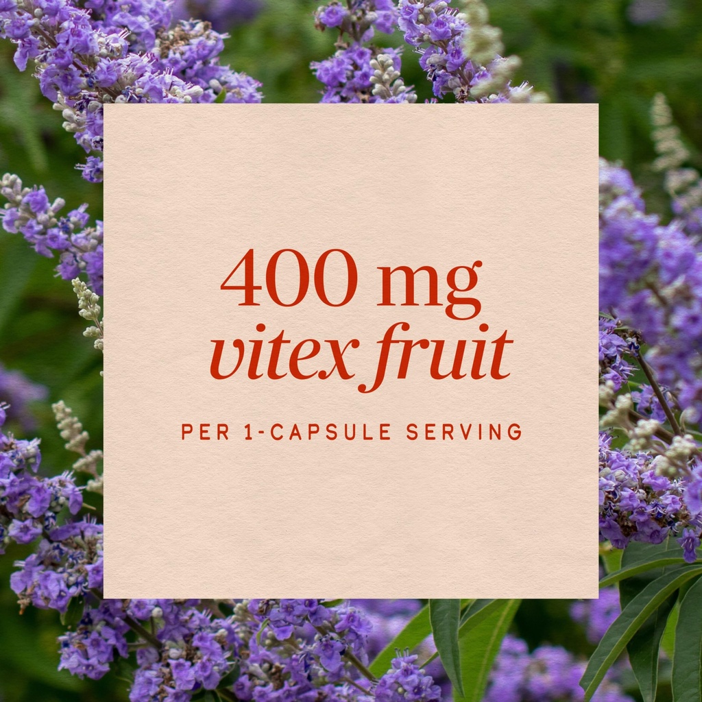nature-way-vitex-fruit-400-mg-320-vegeta-91RR-N9ZPYL.jpg
