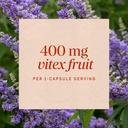 nature-way-vitex-fruit-400-mg-320-vegeta-91RR-N9ZPYL.jpg