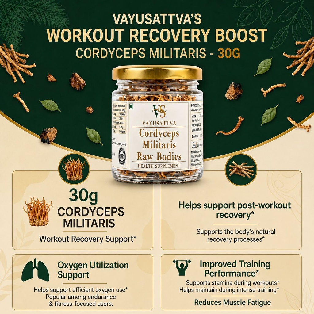 kida-jadi-buti-original-cordyceps-milita-713im+95TKL.jpg
