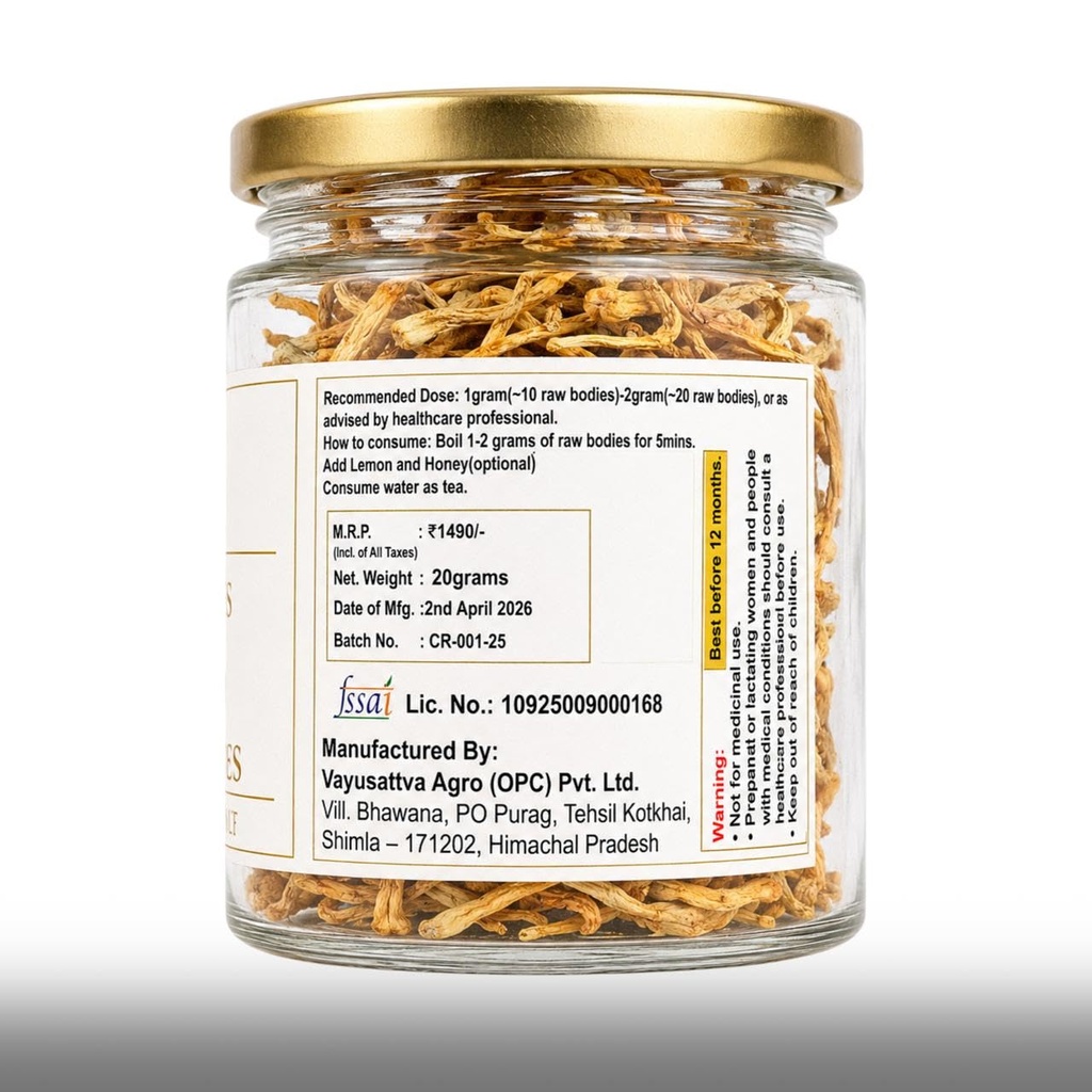 kida-jadi-buti-original-cordyceps-milita-71OKkIeERaL.jpg