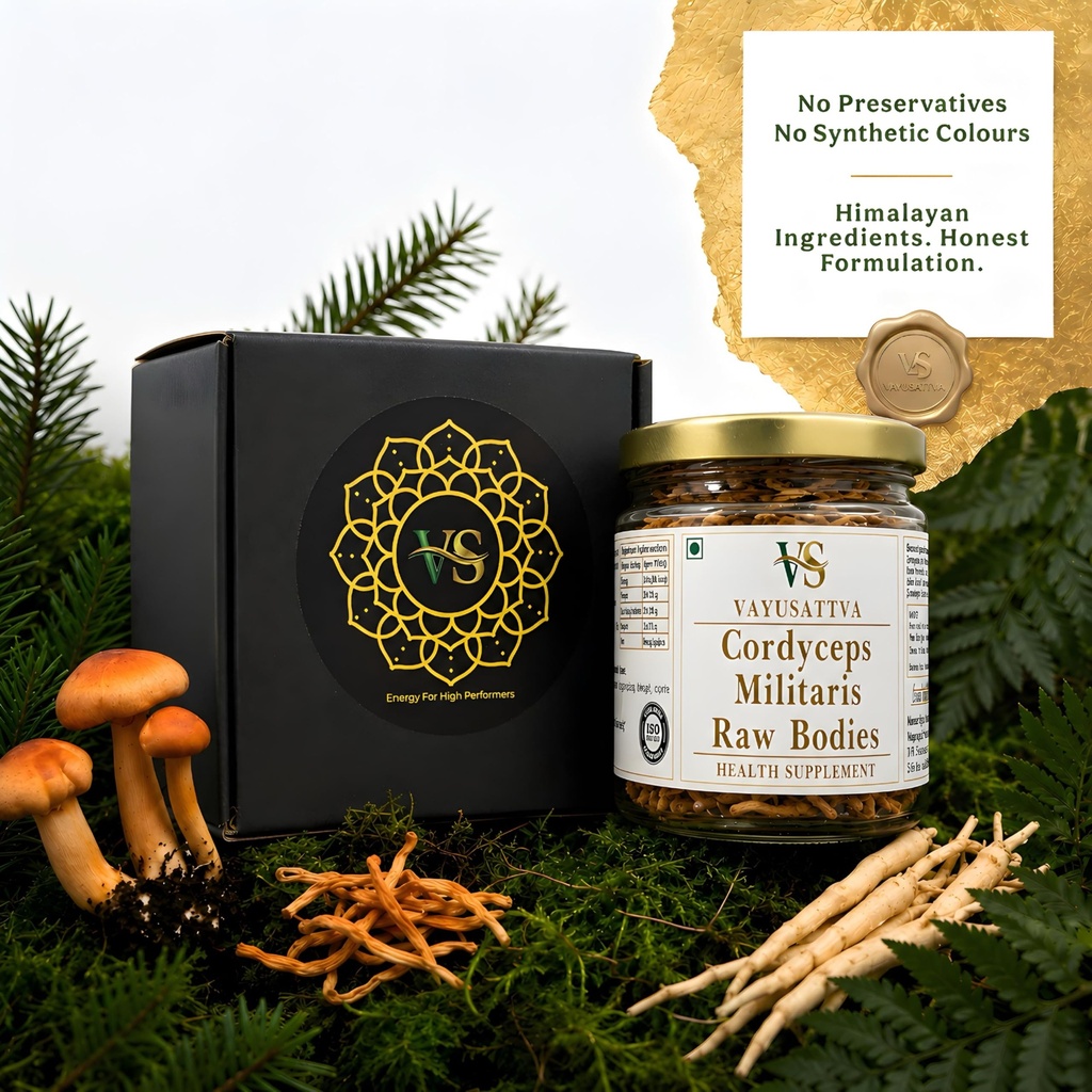 kida-jadi-buti-original-cordyceps-milita-81rxWy4Y9bL.jpg
