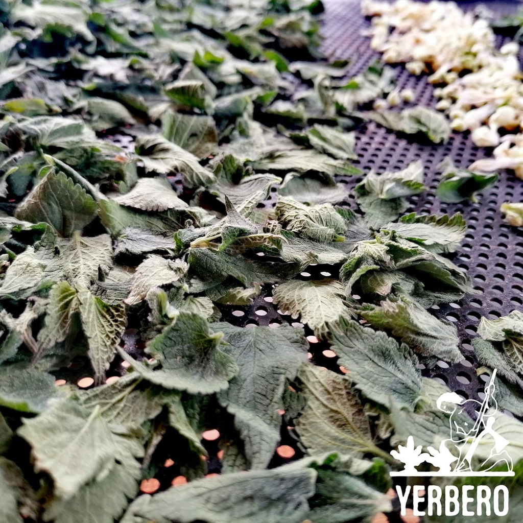 yerbero---stinging-nettle-leaf-root-loos-6.jpg