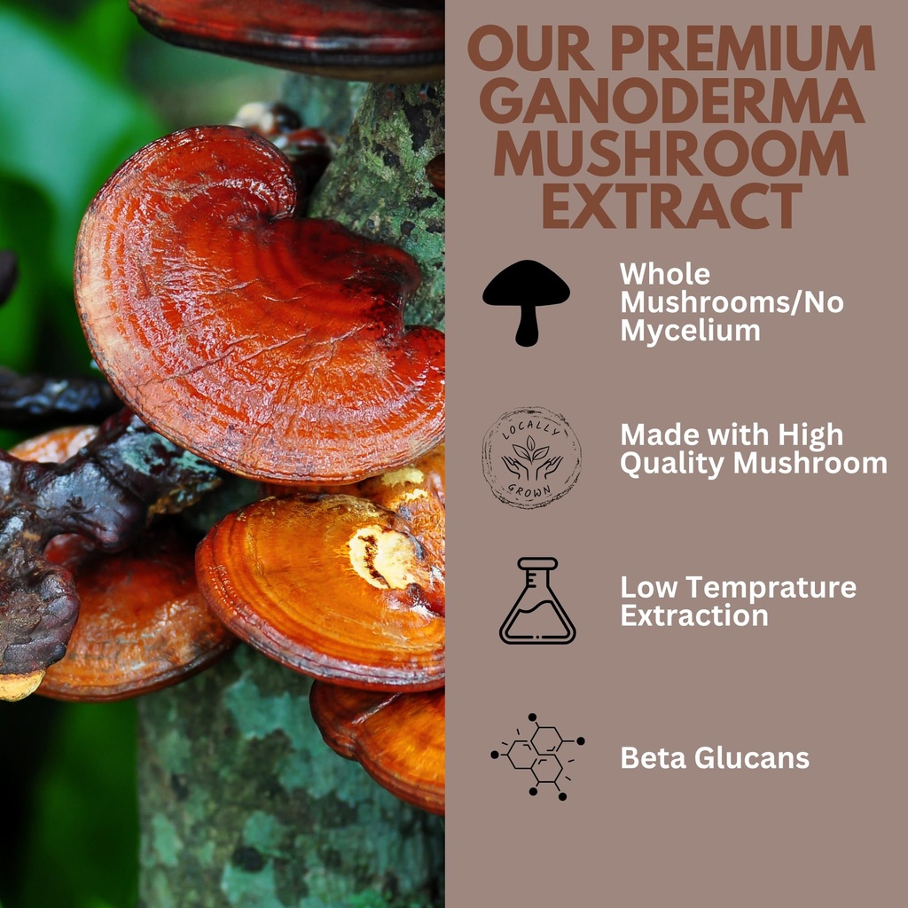 ganoderma-red-reishi-mushroom-powder-ext-81SMSZGD-1L.jpg