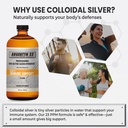 argentyn-23-professional-immune-support--71yrEOuceYL.jpg
