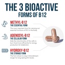 vitamin-b12-5000mcg-complex-methylated-m-71cf+yEViJL.jpg