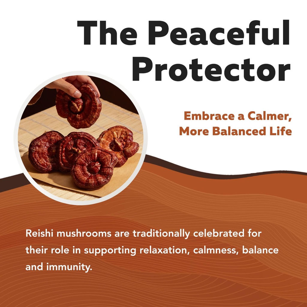 organic-reishi-mushroom-capsules-max-pot-714O6lzASqL.jpg