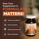 organic-reishi-mushroom-capsules-max-pot-719XsNIt+xL.jpg