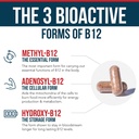 bioactive-vitamin-b12-plus-methylfolate--717sEY3Z01L.jpg