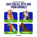 holistic-pet-care-colloidal-silver-for-d-71VkU7wUX9L.jpg