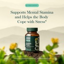 gaia-herbs-rhodiola-rosea-60-vegetarian--81UWMTng2+L.jpg