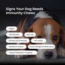 absolut-pet-postbiotic-immunity-dog-chew-61HgtsQbdcL.jpg
