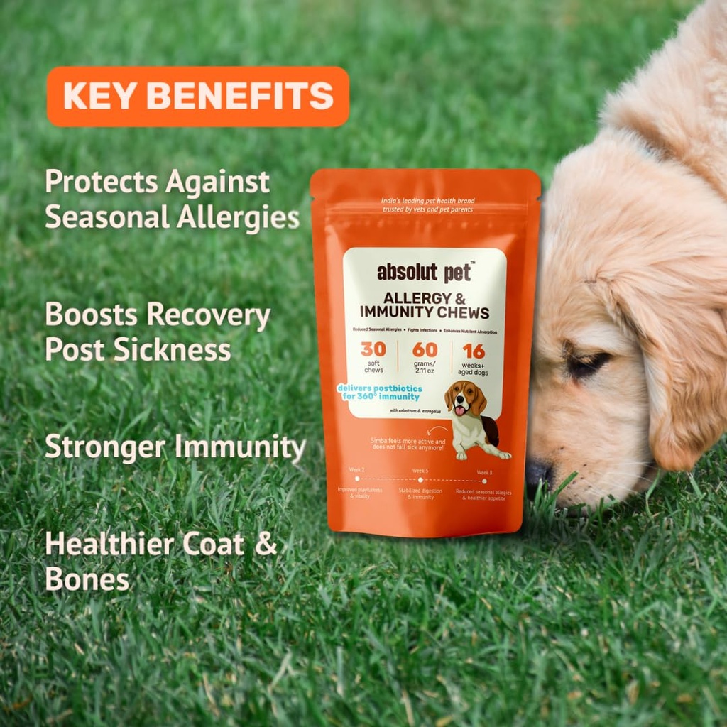 absolut-pet-postbiotic-immunity-dog-chew-71dnYOJz92L.jpg