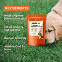 absolut-pet-postbiotic-immunity-dog-chew-71dnYOJz92L.jpg