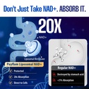 nad-supplement-12-in-1-liposomal-nad-plu-71Boio5SXFL.jpg