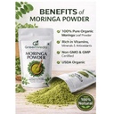 greenveda-moringa-powder-pack-of-1-200g--71YmPSNlMuL.jpg