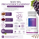 grape-seed-extract-antioxidant-support-h-7104tNy5KFL.jpg