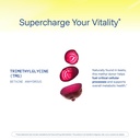 prohealth-longevity-tmg-supplements-trim-71GpGvPekfL.jpg