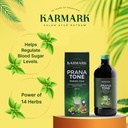 karmark-prana-tone-450-ml-diabetic-care--71xFY10At4L.jpg