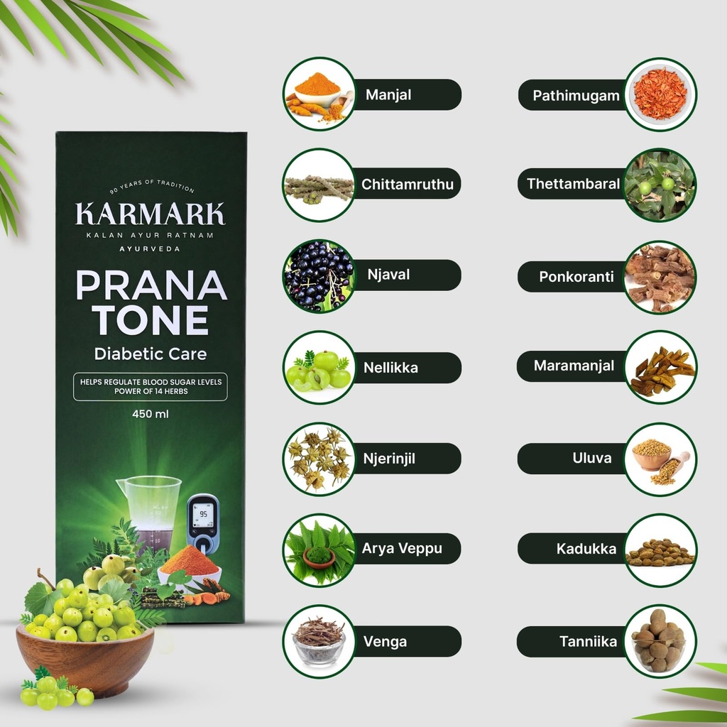 karmark-prana-tone-450-ml-diabetic-care--71pZlPKFp9L.jpg