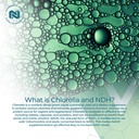 nootropics-depot-nadh-chlorella-vulgaris-71ypUg3qgrL.jpg