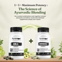 hair-wellness-kit-amla-and-bhringraj-cap-61fqr8zzKlL.jpg