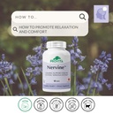 provita-nervine-natural-relaxation-nervo-611h1pzLxsL.jpg