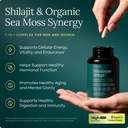 shilajit-capsules-with-organic-irish-sea-81L0VWMNWqL.jpg