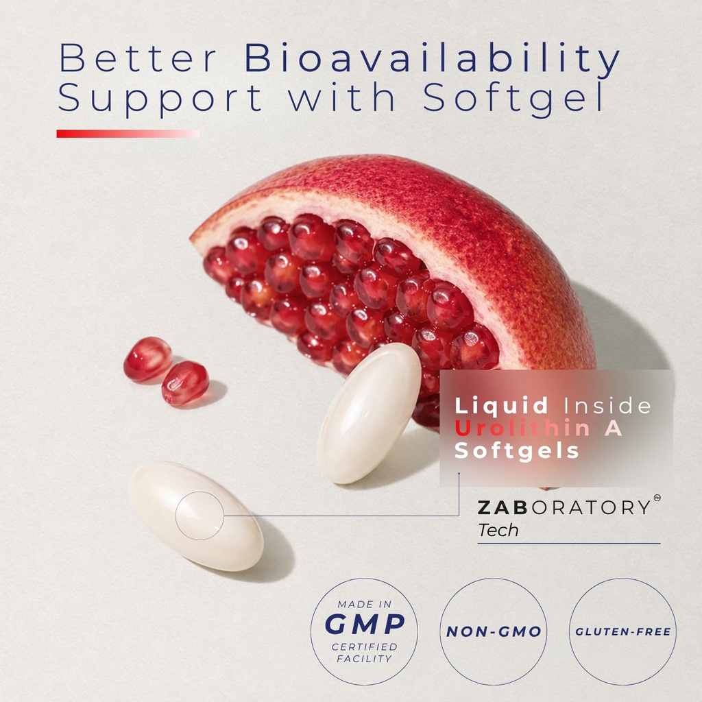 zab-urolithin-a-supplement-1000mg-per-se-719Yb2jd5ZL.jpg