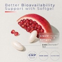 zab-urolithin-a-supplement-1000mg-per-se-719Yb2jd5ZL.jpg