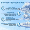 nmn-supplement-1000mg-liquid-drops-99-pu-7134fwn2BgL.jpg