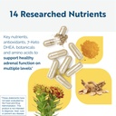researched-nutritionals-energy-multi-ple-71kTL77a-yL.jpg