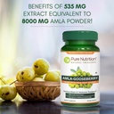 pure-nutrition-amla-extract-1000mg-per-s-3.jpg