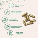 micro-ingredients-resveratrol-nad-comple-71WxvDOwFBL.jpg