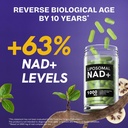 liposomal-nad-supplement-500mg-nmn-suppl-71y2Zh2motL.jpg