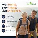 forestleaf-liposomal-nad-with-resveratro-710-99RT6ML.jpg