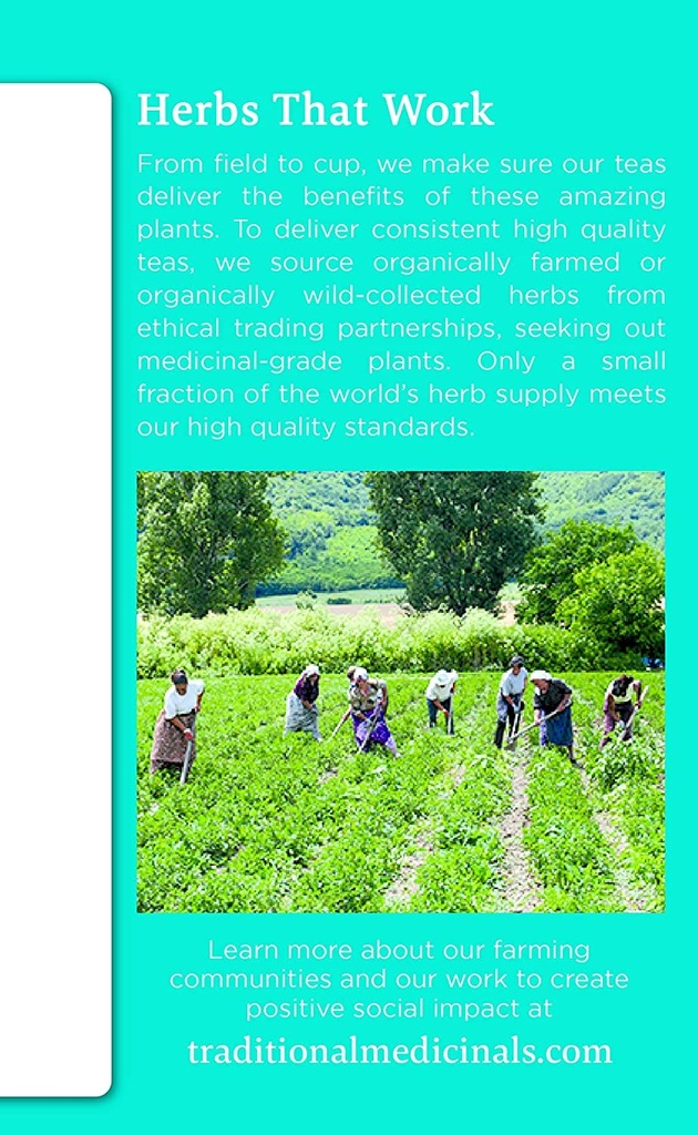 traditional-medicinals-organic-everyday--4.jpg