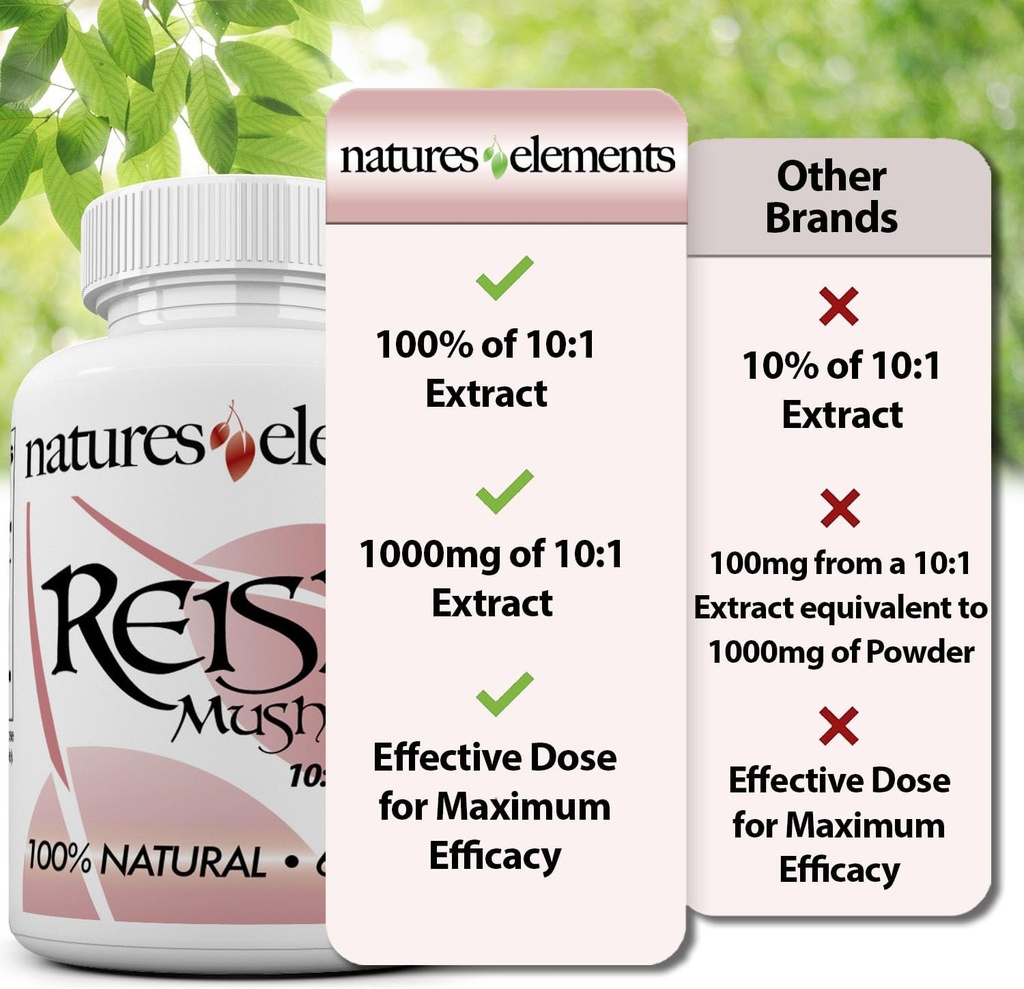 reishi-mushroom-extract-101-concentratio-6.jpg