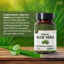 aloe-vera-tablets-aloe-barbadensisaloe-v-3.jpg