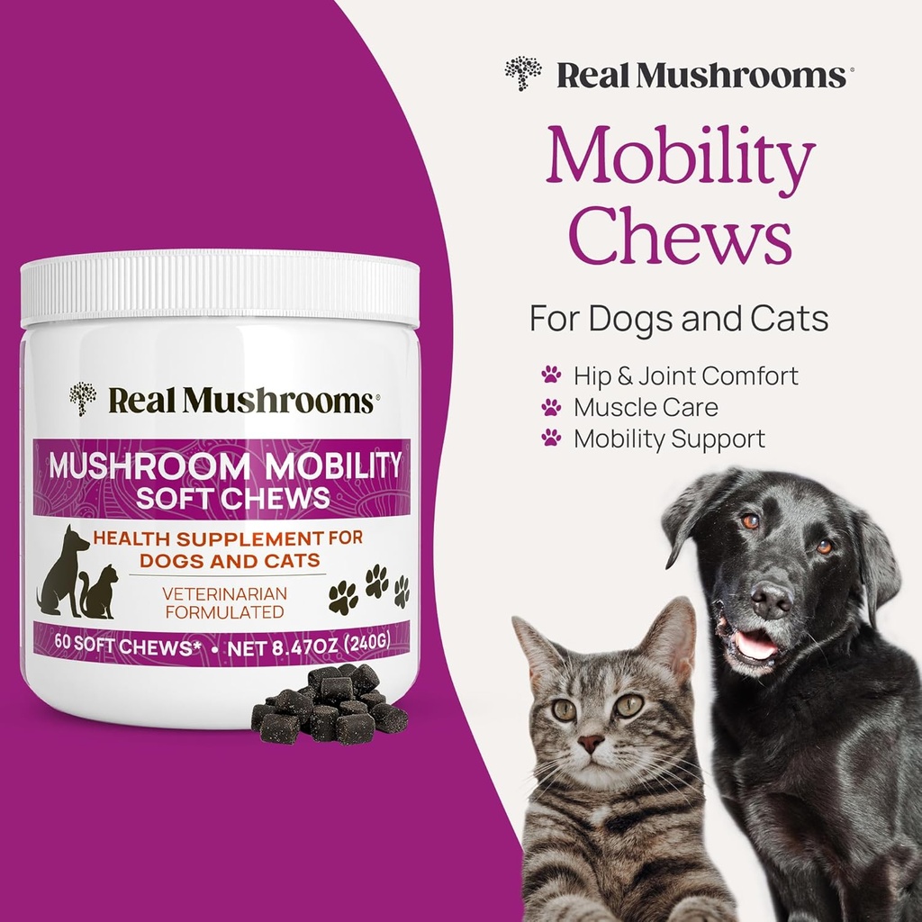 real-mushrooms-mobility-chews-for-dogs-c-2.jpg
