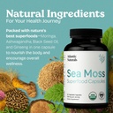 atlantic-naturals-sea-moss-capsules-with-6.jpg