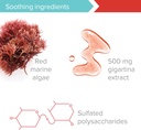 vibrant-health-gigartina-red-marine-alga-6.jpg