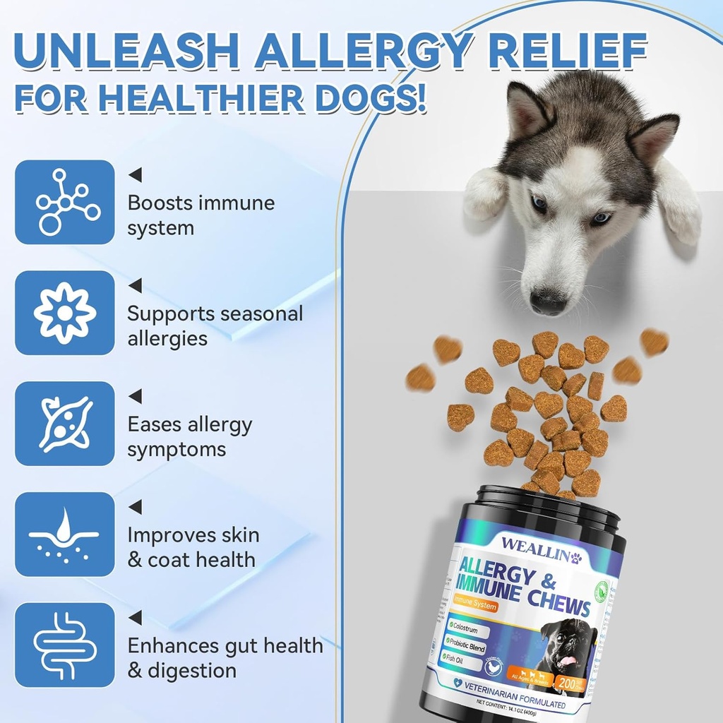 dog-vitamins-dog-allergy-relief-chews-6.jpg