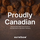nutridom-canadian-chaga-mushroom-tea-gri-3.jpg