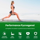 nutrachamps-pycnogenol-french-maritime-p-4.jpg