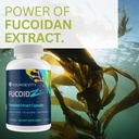 youngevity-fucoidz---pure-organic-marite-6.jpg
