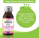teaonic-my-gut-mojo-digest-detox-drinks--6.jpg