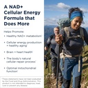 designs-for-health-mito-nr---nicotinamid-2.jpg
