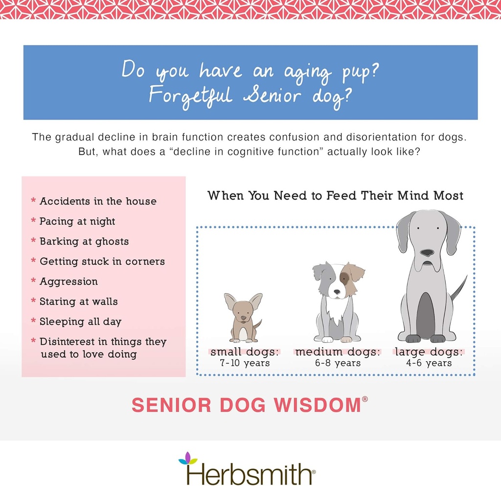 herbsmith-senior-dog-wisdom-dog-dementia-4.jpg
