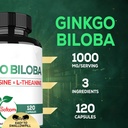 1000mg-ginkgo-biloba-supplements-with-l--3.jpg