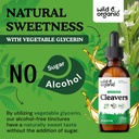 wild-organic-cleavers-tincture---natural-6.jpg